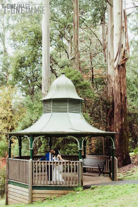 Tammy & Cameron's wedding @ Poets Lane VIC Melbourne wedding photography t-one image