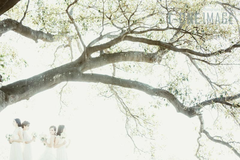 Vivian & Xiao's wedding @ Fort Denison NSW Sydney wedding photography t-one image