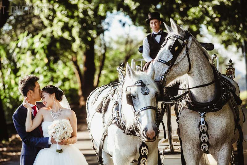 Yuna & Edison's wedding @ Le Montage NSW Sydney wedding photography t-one image