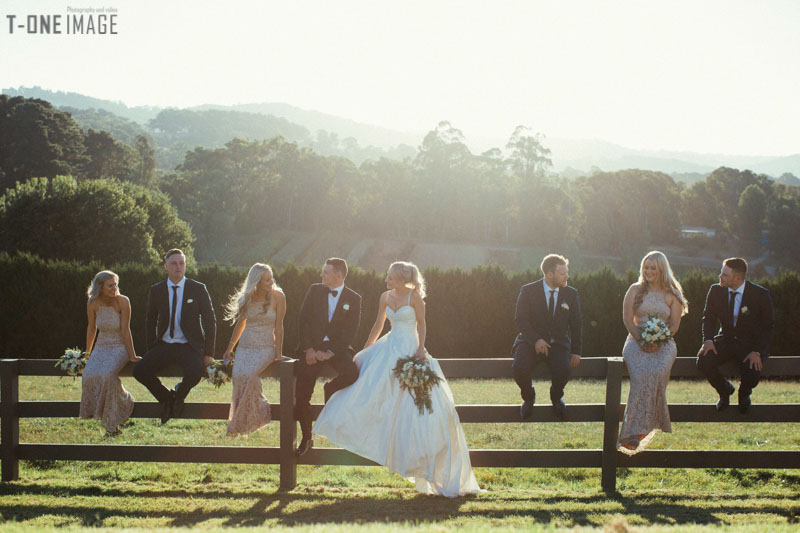 Beck & Ben's wedding @ Dandenong Ranges VIC Melbourne wedding photography t-one image