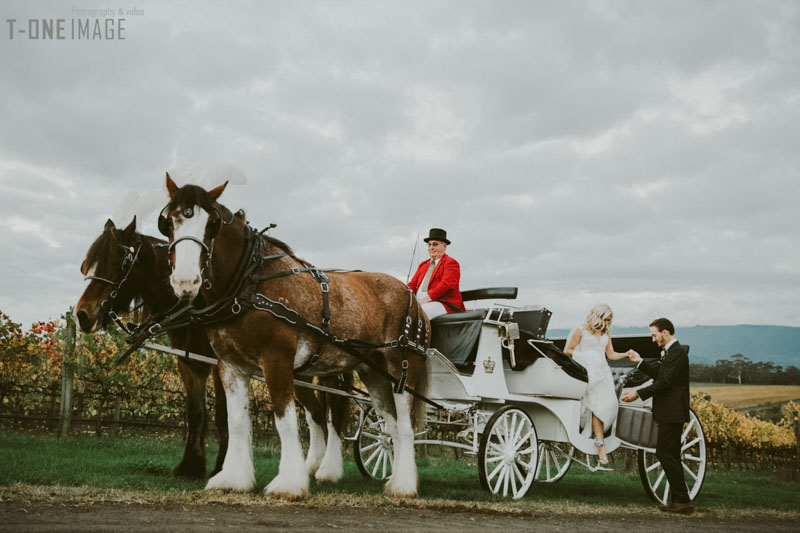 Serena &  Davor's wedding @ Killara Estate VIC melbourne wedding photography t-one image 