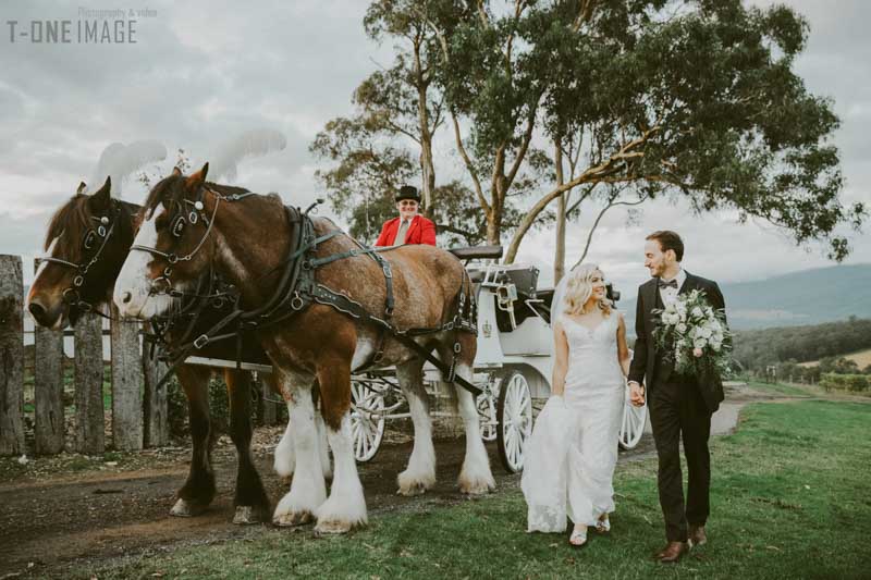 Serena &  Davor's wedding @ Killara Estate VIC melbourne wedding photography t-one image 