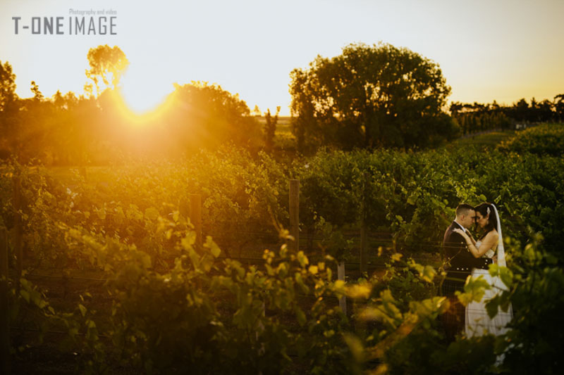 Tenaya & Adam's wedding @ Witchmount Estate Winery VIC Melbourne wedding photography t-one image