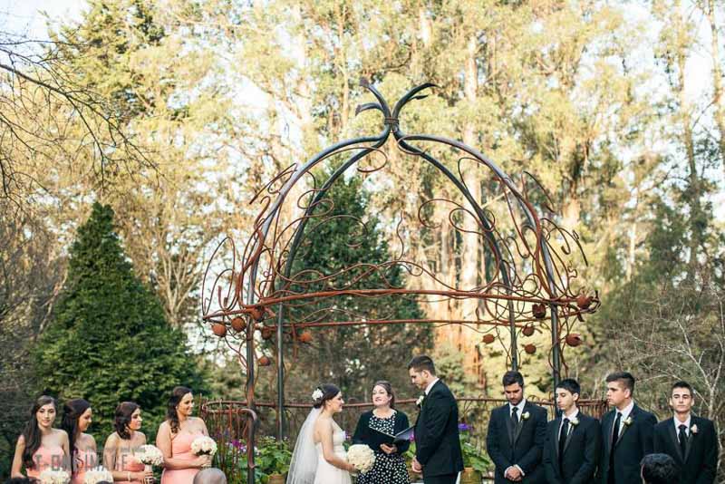 Alyce & Matt's Wedding @ Montsalvat & Tatra VIC Melbourne wedding photography t-one image