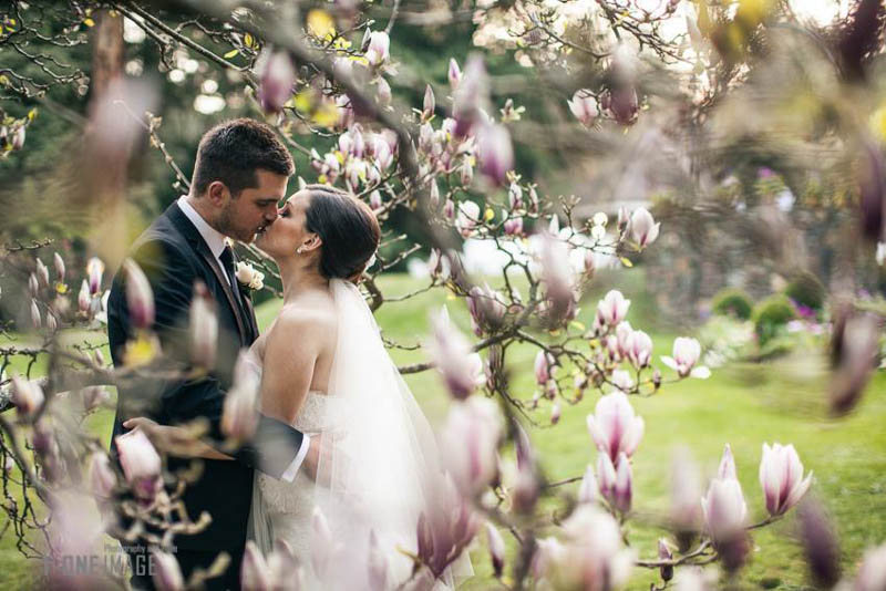 Alyce & Matt's Wedding @ Montsalvat & Tatra VIC Melbourne wedding photography t-one image