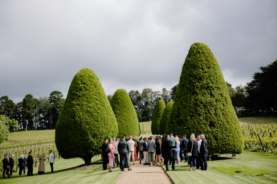 Melbourne Wedding, Melbourne Wedding Photography, Melbourne Wedding Venue, Melbourne Wedding Photographer