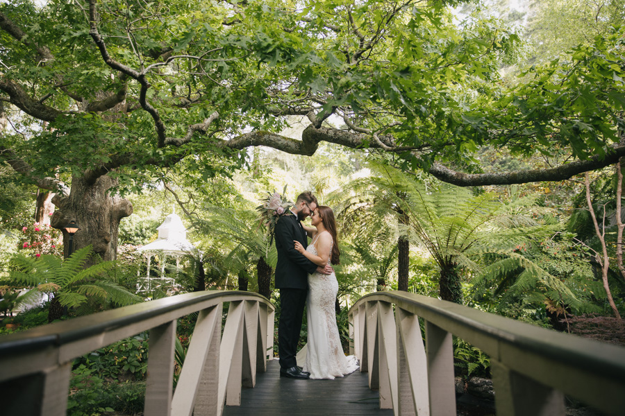 Poet's Lane Receptions